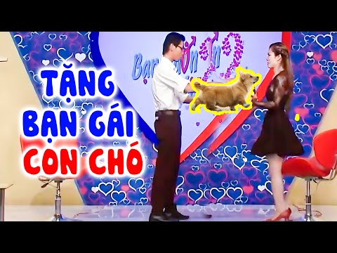 Video: Bạn muốn mang con chó của bạn đi làm?