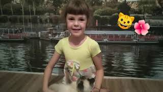 Мои питомцы!😁 Полный дом зверей 😅😂 Мои питомцы!😁 Полный дом зверей 😅😂