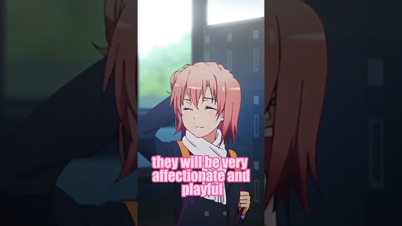 Wandere - A Guide To Every Dere In Anime 