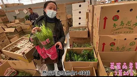 逛花卉批发市场，做到这3点，你会节约不少钱？ - 天天要闻