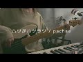 ハツがハツラツ / pachae (Ba. cover)【ベース弾いてみた】