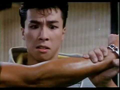 donnie yen demonstration in mismatched couples