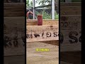Prueba rápida para verificar que las vigas de madera quedaron alineadas