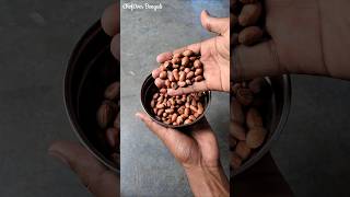 ময়দা ছাড়া বেকরি মত বিস্কুট রেসিপি #biscuit #bakery #peanut #shorts #chef0ver
