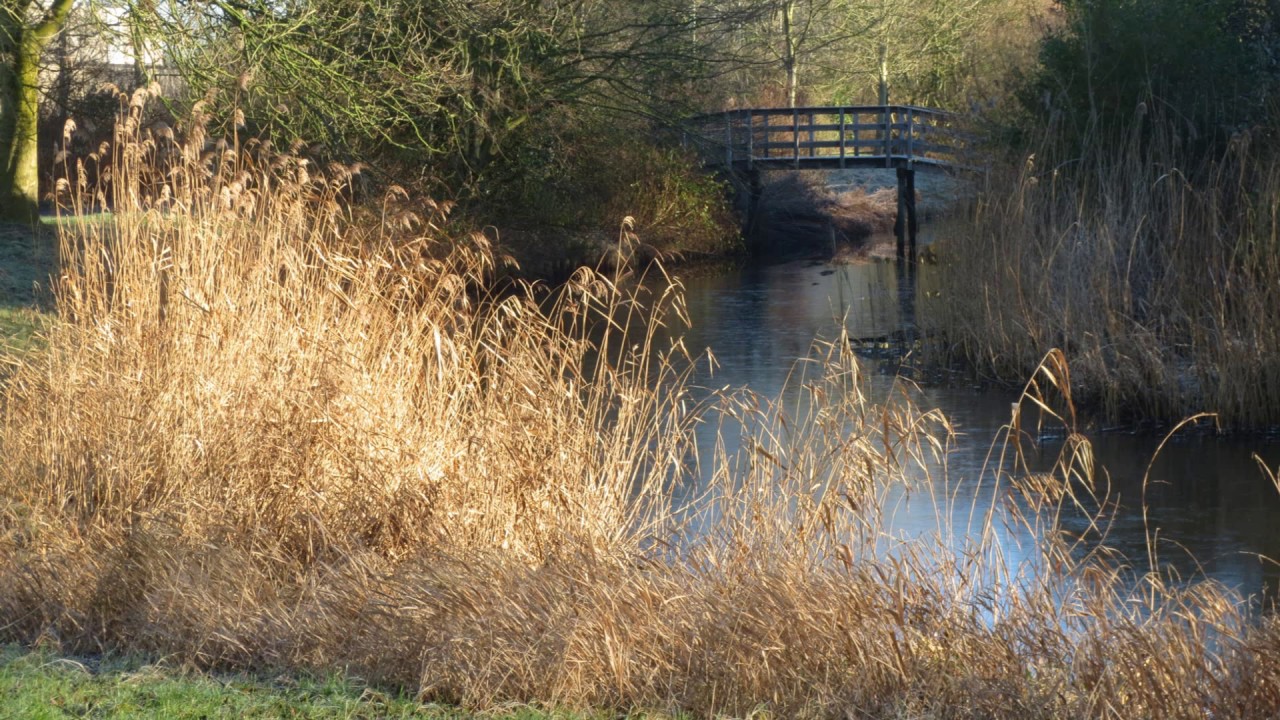 Grijp toch de kansen, door God u gegeven (JdH 166)