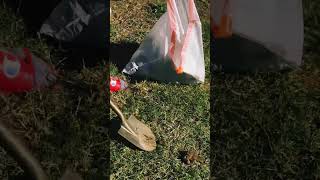Clean after your Dog’s Poop 🐶💩 #explore #funny #shorts #dogs