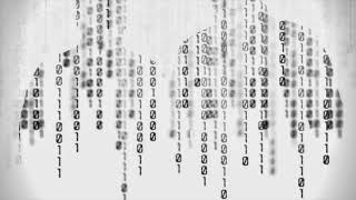 The Binary Project