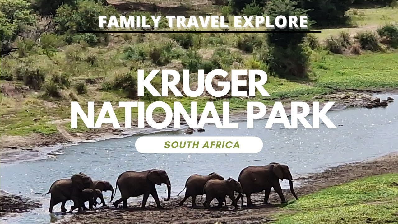 Kruger National Park South Africa December Family Motorhome Adventure