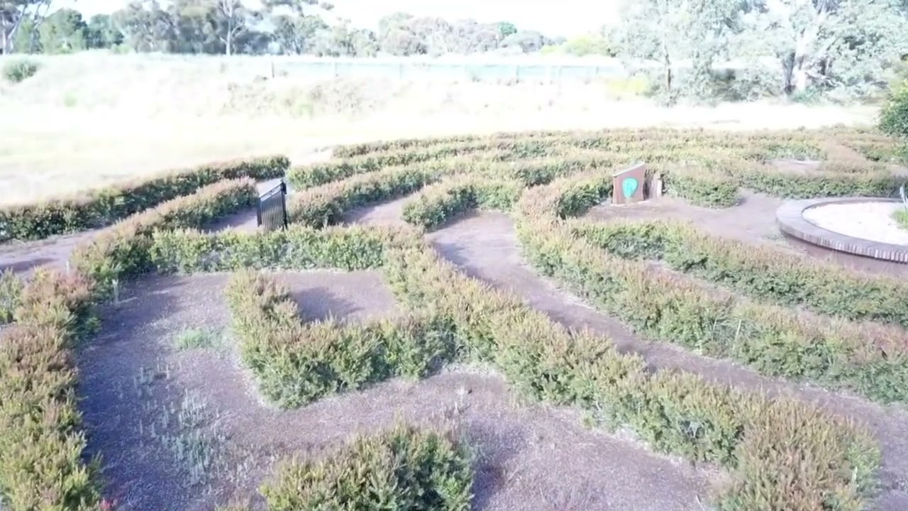 Monitoring the flooded area in the vineyard.