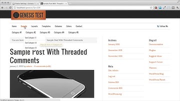 Setting Up Genesis Theme Options