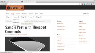 Setting Up Genesis Theme Options