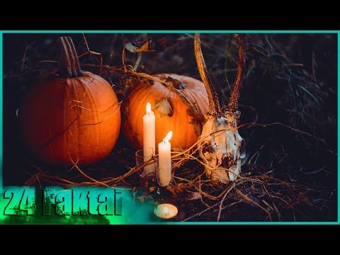 Video: Įdomios Halloween Faktai Roundup