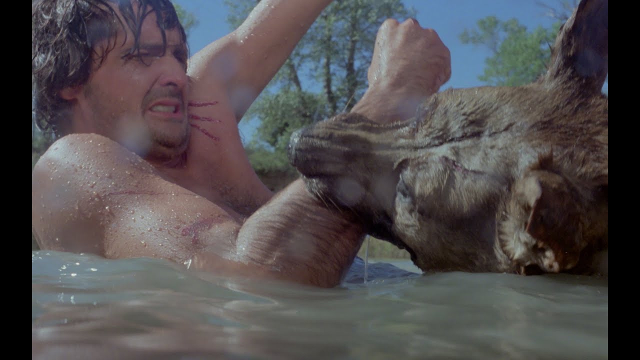 Les Crocs du Diable d'Antonio Isasi : bande-annonce