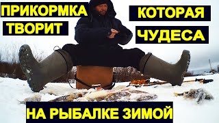 Такая прикормка зимой творит чудеса! Вся рыба собирается в точку лова! Наловишь не унести!