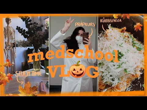 ? MEDSCHOOL VLOG: cozy autumn days, kürbispasta rezept, lots of studying, time w/ my boyfriend ?✨?