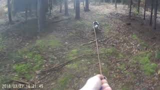 Cardinal Axally - Barva