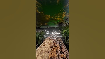 قران كريم راحه نفسيه ياسر الدوسري #قران_كريم #ياسر_الدوسري #راحة_نفسية