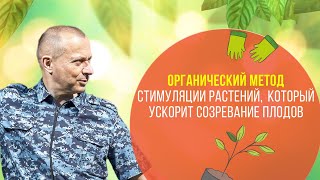 Органический метод стимуляции растений, который ускорит созревание плодов