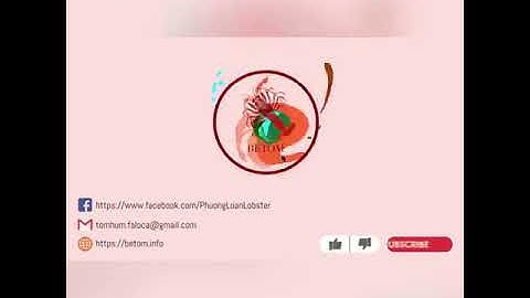 MÔI TRƯỜNG SỐNG CỦA TÔM HÙM XANH KHI XA BIỂN |TÔM HÙM XANH SỐNG | TÔM HÙM BETOM 20