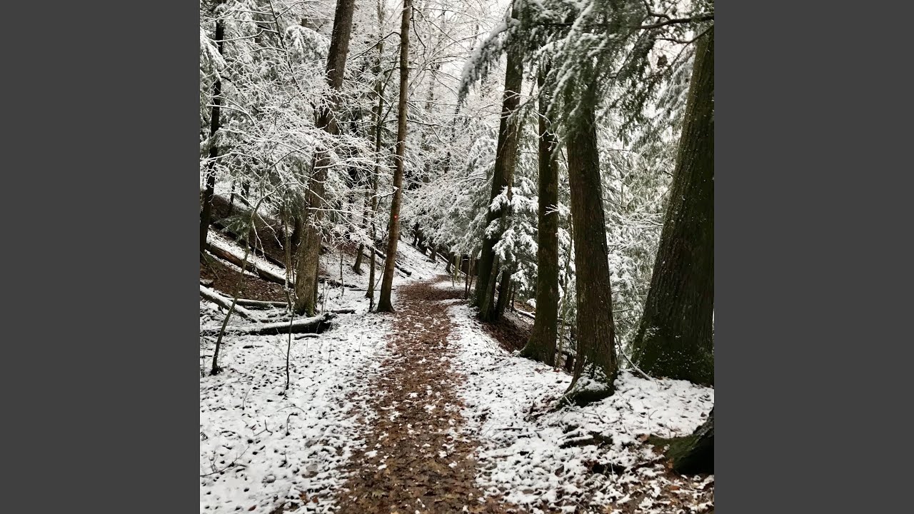 Watch Cayuga on YouTube Watch Cayuga on YouTube