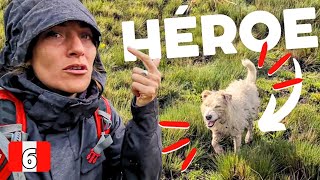 MY DOG SAVED US 👉 we were almost ATTACKED during a hike in the Amazon of Peru