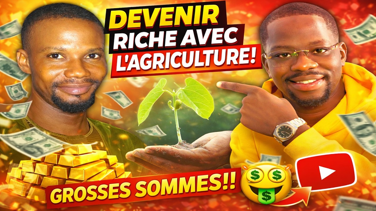 Le vrai trésor de la Guinée n’est pas la bauxite… mais l’agriculture