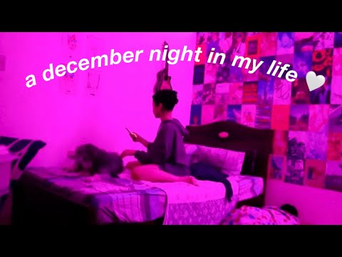 d. diaries ep. 10 | a december night in my life + lazy skincare routine 🌙