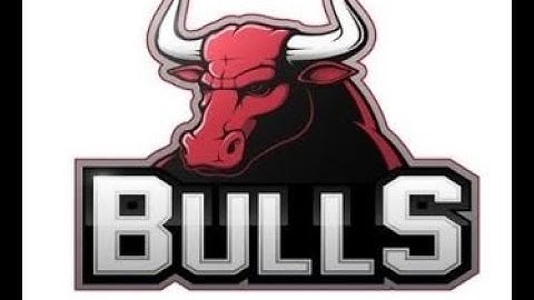 BULL 100X, nuovo airdrop bot. Scam o valida opportunità? non si sa, ma è facile e gratuito.