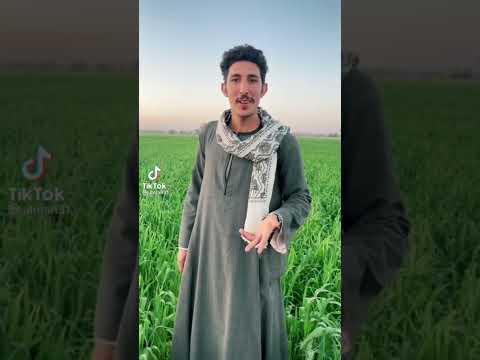 الشاعر محمد العتمان شاعر علم