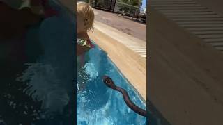 Thumbnail for Snake 🐍 in the pool