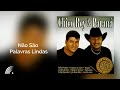 Chico Rey & Paraná - Não São Palavras Lindas - Sucessos de Ouro - Vol. 15