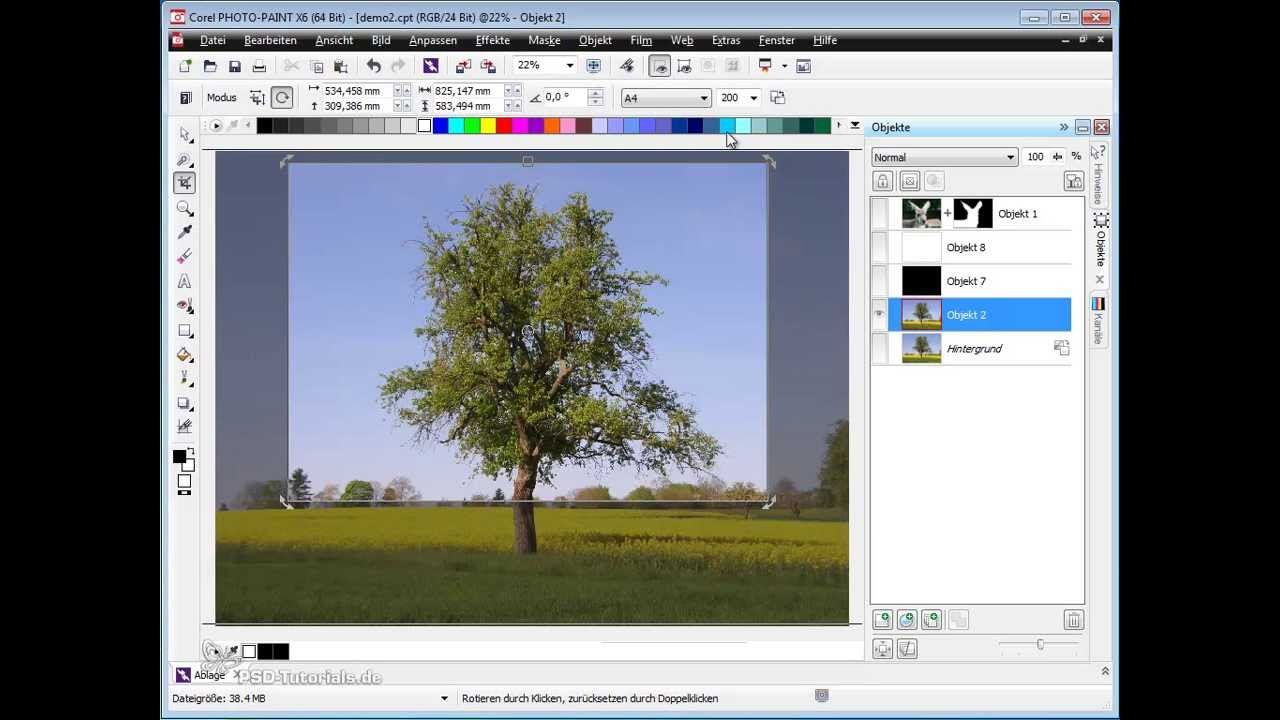 Corel Photo Paint Tutorial Bilder Beschneiden Bildausschnitte Festlegen Youtube