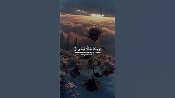 الضحى #اكسبلور #المصحف #آيات #القرآن_الكريم #لايك #حالات_واتس #الرحمن #تيك_توك