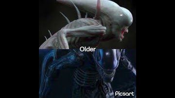 Xenomorph vs neomorph