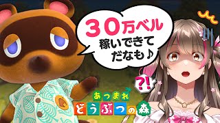 【あつ森】自分の島で採れるもの限定!30万ベル稼げるまで終われません【あつまれどうぶつの森 ライブ】