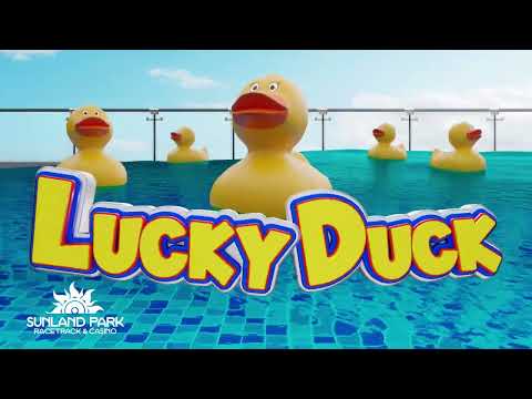 Anleitung zum Casino Betrug | ganzer Film | die neue izzy Doku