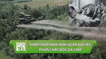 Khiếp đảm hình ảnh quân đội Mỹ phun chất độc da cam/Dioxin xuống Việt Nam | VTC16