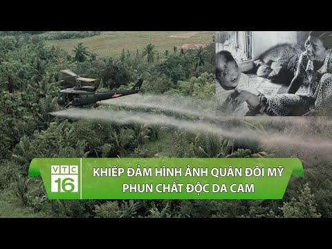 Mỹ Rải Chất Độc Màu Da Cam Xuống Việt Nam - Khiếp đảm hình ảnh quân đội Mỹ phun chất độc da cam/Dioxin xuống Việt Nam | VTC16