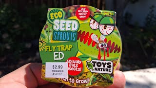 Hobby Store Fly Traps - YouTube