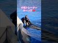 匠トレーナーみ〜っけ❤️#神戸須磨シーワールド#オルカパフォーマンス#shorts