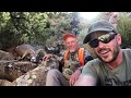 Dads Desert Bighorn Sheep Hunt 2019