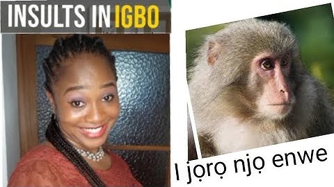 Insults in Igbo for beginners #igboamaka #igbolanguage #learnigbo #igboforbeginners