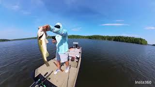 Hawg hunting trophy largemouth on Briery Creek 8/2/2024.