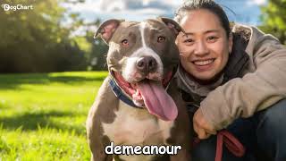 German Shepherd and Pitbull Mix You Wouldn't Believe Exist!