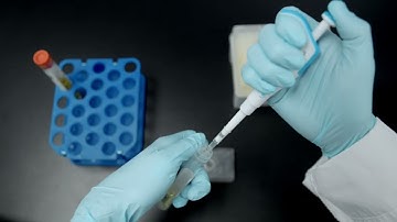 MiQLab® System Workflow Demonstration