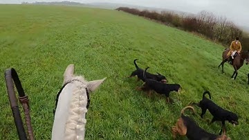 Hunting at Cranborne Manor with the Wessex Bloodhounds 7/12/25