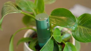 The Garden Gurus - Keep Growing with Extra Sensors