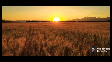 قرآن كريم بصوت الشيخ عبد الرحمن مسعد / سورة الكوثر