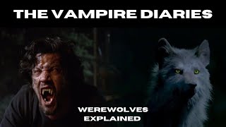 Werewolves Explained - Creature of The Vampire Diaries \u0026 The Originals