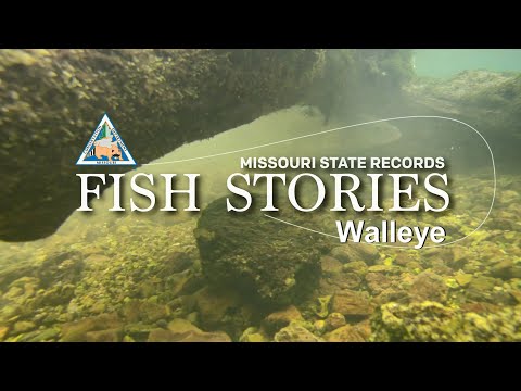 Walleye Renaissance The Story Of Toledos Fishing Revival